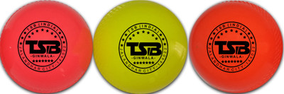 

TSB GINWALA SUNNY KSI Cricket Training Ball(Pack of 3, Multicolor)