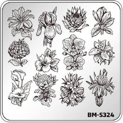 

Bundle Monster Botanicals Moth Mosaic Nail Art Stamping Plate Flower Leaves BM-S324(Silver)