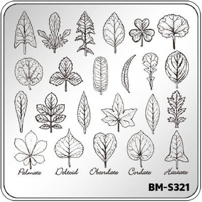 

Bundle Monster Botanicals Sunlit Study Nail Art Stamping Plate Flower Leaves BM-S321(Silver)