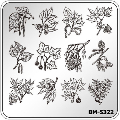 

Bundle Monster Botanicals Branch Out Nail Art Stamping Plate Flower Leaves BM-S322(Silver)