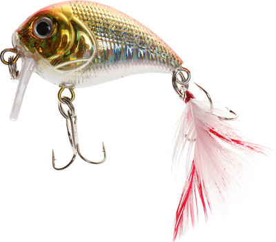 

Magideal Diving Lifelike Fishing Lure Chubby Fatty Crankbaits Hard Baits Fish Lure Chubby Fatty Crankbaits Hard Baits Hard Bait Fishing Lure(Pack of 1 Size 3)