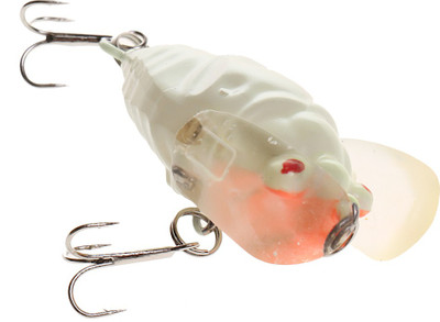 

Magideal Cicada Bass Insect Fishing Lures 6g Crank Bait Floating Tackle Crank Bait Floating Tackle Fish Decoy Fishing Lure(Pack of 1 Size 50)