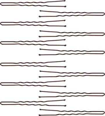 

Franck Provost Xpert Pro (France) U Bobby XL (8 cm) - 12 pcs Hair Pin(Brown)