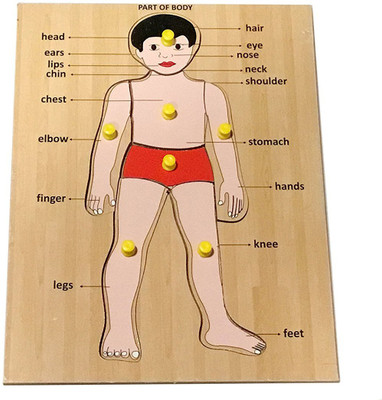 

Aaravision learning toy(Multicolor)
