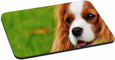 

PRINTHUBS Painting Designer | Printed Mouse Pad | High Quality Waterproof Coating Gaming Mouse Pad (Multicolor) -375 Mousepad(Multicolor)