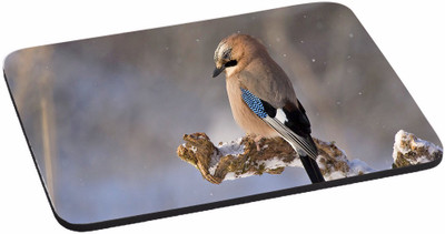 

PRINTHUBS Painting Designer | Printed Mouse Pad | High Quality Waterproof Coating Gaming Mouse Pad (Multicolor) -410 Mousepad(Multicolor)