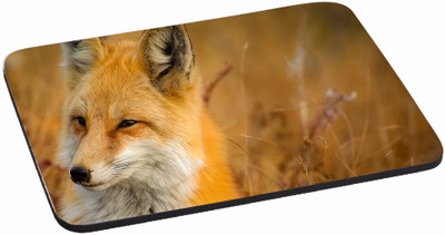 

PRINTHUBS Painting Designer | Printed Mouse Pad | High Quality Waterproof Coating Gaming Mouse Pad (Multicolor) -411 Mousepad(Multicolor)