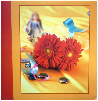 Natraj Studio Memo Screw Type High Quality Photo Album , 200 Pocket ( Photo Size Supported: 5' X 7') Album(Photo Size Supported: 5x7)