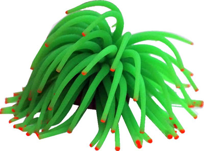 

Bluerider A_plant_20 Aquarium Plant Anchor({Plant Anchors1)
