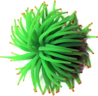 

Bluerider A_plant_19 Aquarium Plant Anchor({Plant Anchors1)