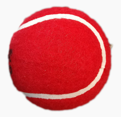 

QUINERGYS ™ Waterproof Alum Tanned Cricket Plus Heavy Weight Cricket Ball Cricket Tennis Ball(Pack of 1, Red), Red-type-023