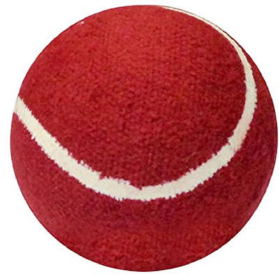 

QUINERGYS ™ Professional Grade Heavy Tennis Cricket Ball Cricket Tennis Ball(Pack of 1, Red), Red-type-001