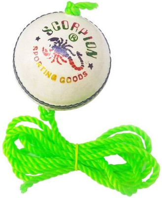 

QUINERGYS ™ Cricket Hanging Ball for Practice and Bat Knocking with Rope Cricket Leather Ball(Pack of 1, White), Warm