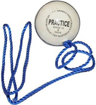 

QUINERGYS ™ Leather Cricket Shot Practice Hanging Ball Cricket Leather Ball(Pack of 1, White), Snow
