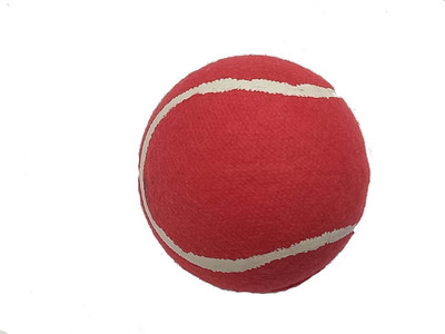 

QUINERGYS ™ Waterproof Alum Tanned Sports Tournament Outdoor Cricket Ball Cricket Tennis Ball(Pack of 1, Red), Red-type-029
