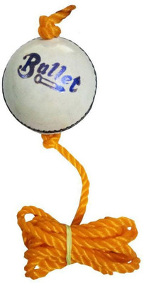 

QUINERGYS ™ Champion's Professional Series knocking / hanging / Practice Hanging Cricket Ball Cricket Leather Ball(Pack of 1, White), Ocean