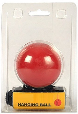 

QUINERGYS ® Hanging GoPro PVC Cricket Ball – Red for Training Cricket Leather Ball(Pack of 1, Red), Amaranth