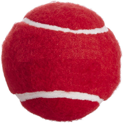 

QUINERGYS ® Waterproofed Hard-Pro Tennis Balls Cricket Tennis Ball(Pack of 1, Red), Red-type-010