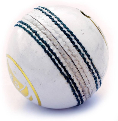 

QUINERGYS ™ Premier League Match Leather Cricket Ball - Mens 5.5oz Cricket Leather Ball(Pack of 1, White)
