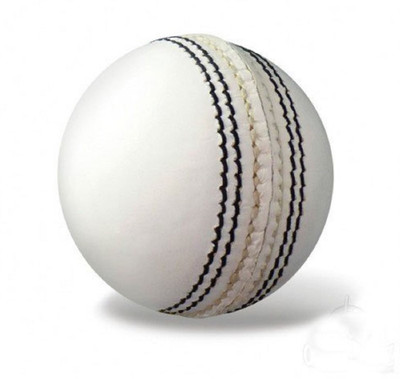

QUINERGYS ™ Cricket Ball White, 4 Piece Ball for Test Matchs, One-Day Matchs and Practice Cricket Leather Ball(Pack of 1, White)
