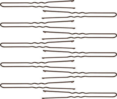 

Franck Provost Xpert Pro (France) U Bobby XXL (10 cm) -10 pcs Hair Pin(Brown)