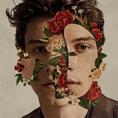 

Shawn Mendes Audio CD Standard Edition(English - Shawn Mendes)