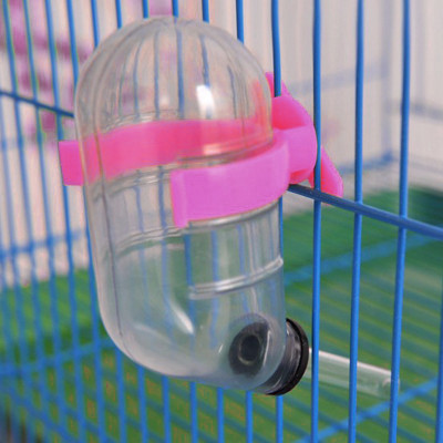 

Sage Square Leak Proof Water Feeder for Hamster / Dwarf / Gerbil / Mice / Guinea Pig / Ferret / Rabbit Round Plastic Pet Bottle(60 ml Pink)