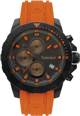 

Timberland TBL.15360JSB/02P Watch - For Men