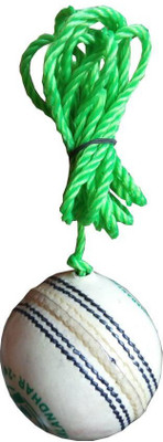 

QUINERGYS ™ Cricket Hanging Ball for Practice and Bat Knocking with Rope Cricket Training Ball(Pack of 1, White), Off-white