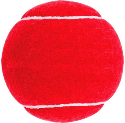 

QUINERGYS ™ Waterproof Alum Tanned Sports Tournament Outdoor Cricket Ball Cricket Tennis Ball(Pack of 1, Red), Red-type-041