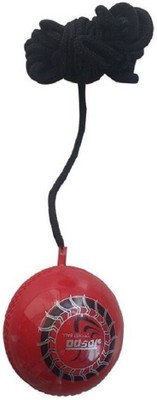 QUINERGYS ® Threaded Practice Cricket Ball Cricket Training Ball(Pack of 1, Red), Tea rose