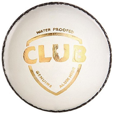 

QUINERGYS ™ Waterproofed Cricket Ball Leather Entirely Stitched 5.5 oz MCC Approved Swing Waterproof Cricket Leather Ball(Pack of 1, White)