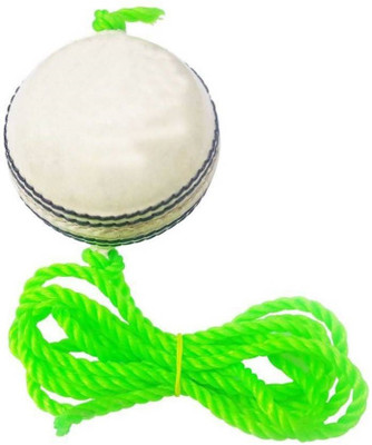 

QUINERGYS ® Cricket Hanging Ball for Practice and Bat Knocking with Rope Cricket Leather Ball(Pack of 1, White), Floral white