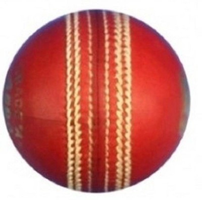 

QUINERGYS ® Waterproof Stroke Special Cricket Ball Cricket Leather Ball(Pack of 1, Red)