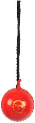 

QUINERGYS ® Gopro Professional Series knocking / hanging cricket ball Cricket Training Ball(Pack of 1, Red), Scarlet