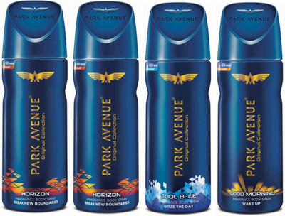 

Park Avenue 2 Horizon and 1 Cool Blue and 1 Good Morning Deodorant Combo Pack of 4 Deodorant Spray - For Men(520 ml, Pack of 4)