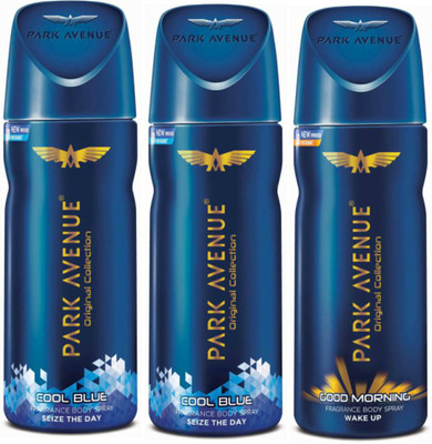 

Park Avenue 2 Cool Blue and 1 Good Morning Deodorant Combo Pack of 3 Deodorant Spray - For Men(390 ml, Pack of 3)