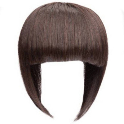 

EKAN Human Fringe For Women Pack Of 1, 75 Gram Hair Extension