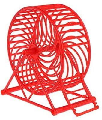 

JAINSONS PET PRODUCTS Plastic, Iron Training Aid For Hamster