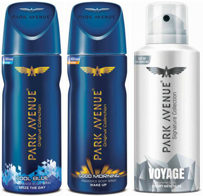 

Park Avenue One Cool Blue, One Good Morning, One Voyage Signature Deodorant Combo for Men(Pack of 3) Deodorant Spray - For Men(300 g, Pack of 3)