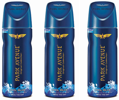 

Park Avenue Cool Blue Seize The Day Original Collection Body Spray 150ML Each (Pack of 3) Perfume Body Spray - For Men & Women(450 ml, Pack of 3)