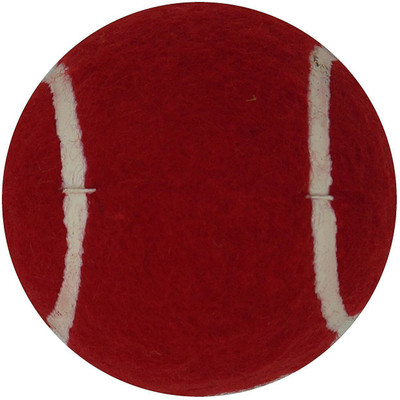 

QUINERGYS ® Gully Play Special Leather Cricket Ball, Red Pacer Test Professional Grade Cricket Leather Ball(Pack of 1, White), Ivory white