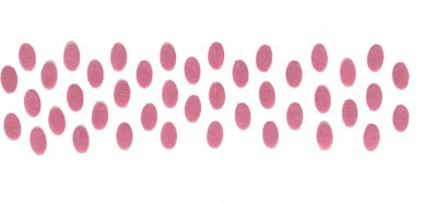 

Shri Ji Collection MAROON ELLIPSE SHAPE PLAIN BINDI Forehead Maroon Bindis(Ellipse Shape)