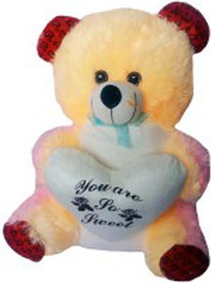 

Flower Engine Cute Heart Teddy - 17 inch(Multicolor)