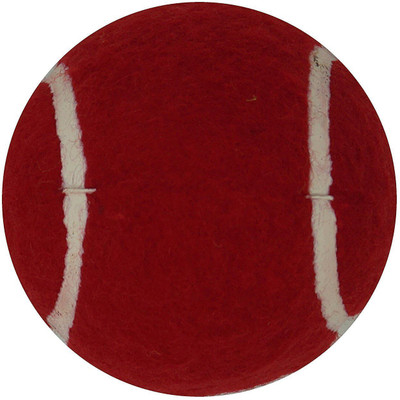

QUINERGYS ® Waterproofed Hard-Pro Tennis Balls Cricket Tennis Ball(Pack of 6, Red), Red-type-034