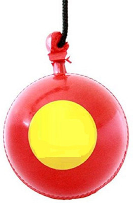 

QUINERGYS ® Professional Series Tournament PVC knocking / hanging Cricket Ball Cricket Training Ball(Pack of 1, Red), Tuscan red