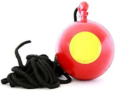 

QUINERGYS ™ High End Practice PVC Stroking-Hanging Cricket Ball Pro Cricket Leather Ball(Pack of 1, Red), Indian red
