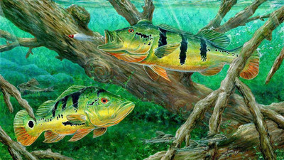 

Gallery 83 ® fish 3d wallpaper laptop decal, laptop sticker (15 inch x 10 inch) 4538 vinyl laptop skin 15.6 HD High Quality Eco vinyl Laptop Decal 15.6