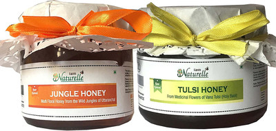 

Farm Naturelle Pack of 2x400Gms with Cinnamon Powder Forest-Vana Tulsi Flower Honey and Jungle/Deep Forest Flower Honey Combo (High Medicinal value and taste)(800 g, Pack of 2)