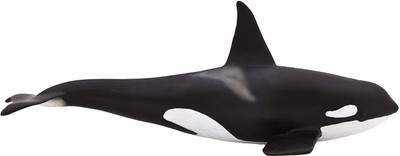 

Sirius Toys Mojo Fun 387114 Male Orca - Realistic Sea Life Marine Toy Replica(Black)